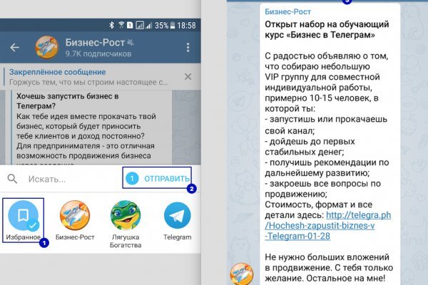 Блек спрут bs2web top